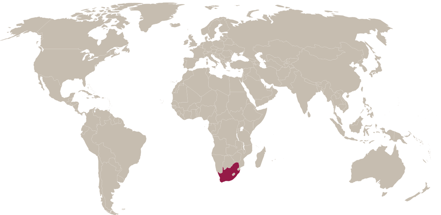 Prosit Vini - Sud Africa